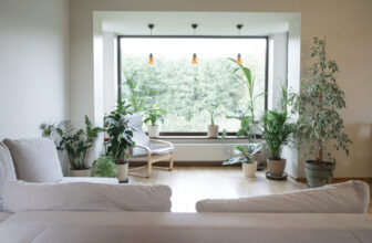 Using Plants to Enhance Feng Shui in your house