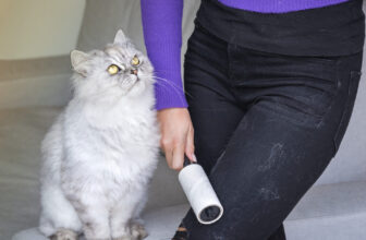Great gadgets to use for cleaning up hair at home