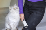 Great gadgets to use for cleaning up hair at home